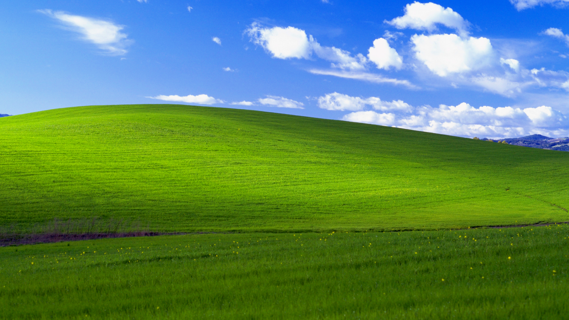 View topic - Windows XP Bliss Original Image - BetaArchive