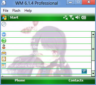 File:Windows Mobile 6.1.4 Professional setup55.png