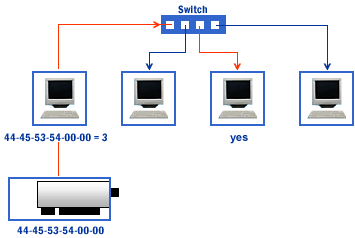[GRAPHIC: Diagram of network with switch]