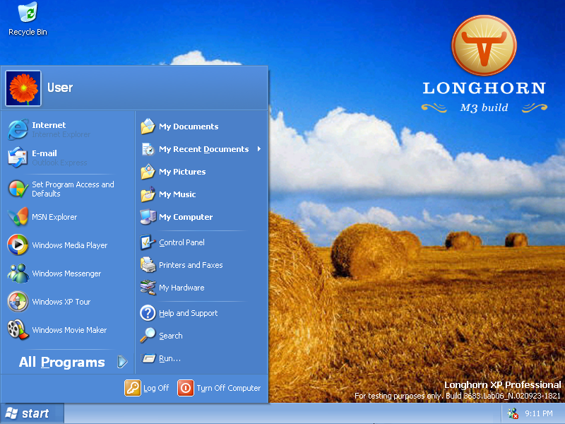 File:Longhorn 3683 FirstBoot 02.png