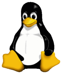 File:Linux-logo.png