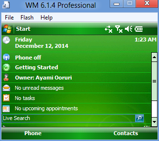 File:Windows Mobile 6.1.4 Professional setup52.png