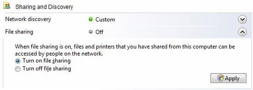 [GRAPHIC: File sharing settings]