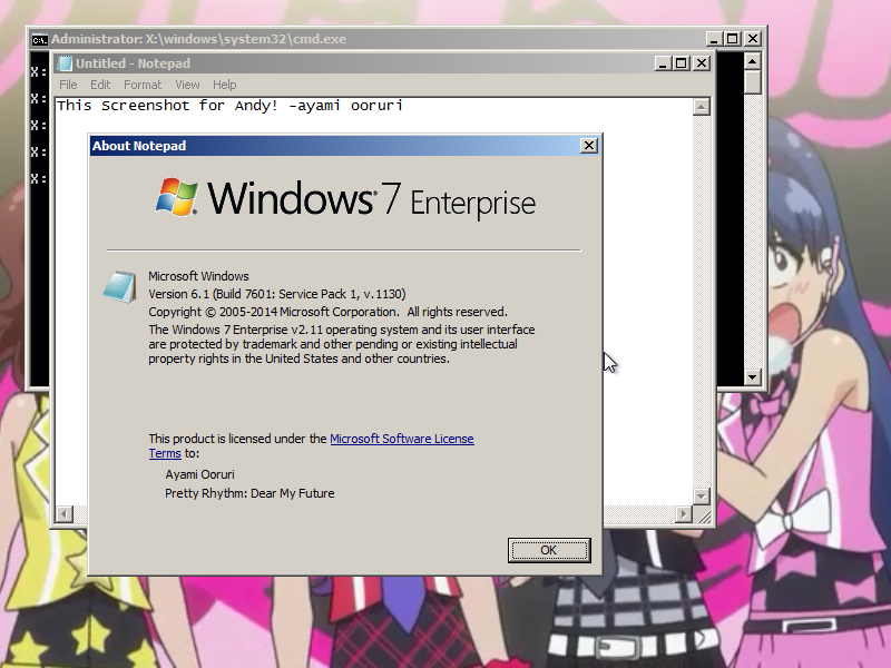 File:Windows PE v3.1 Setup06.png