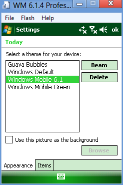 File:Windows Mobile 6.1.4 Professional setup17.png