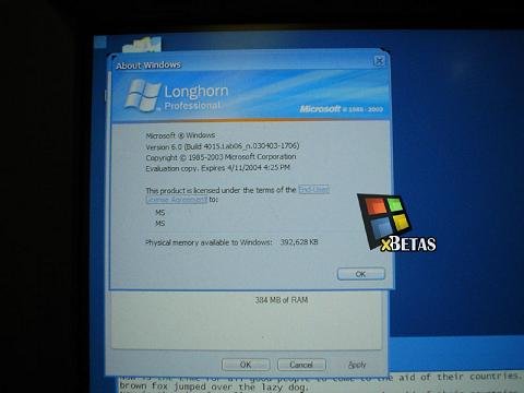 File:Longhorn 4015.Lab06 n xBetas.jpg