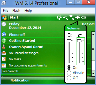 File:Windows Mobile 6.1.4 Professional setup64.png