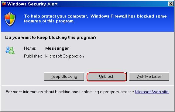 [GRAPHIC: Windows Security Alert dialog box]