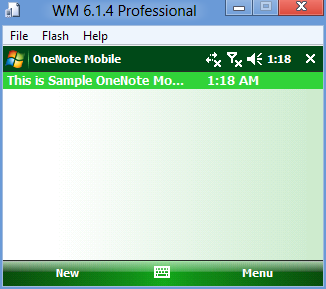 File:Windows Mobile 6.1.4 Professional setup28.png