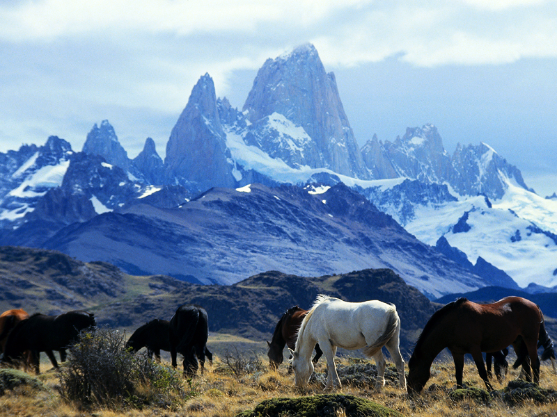 File:. Argentina Parque Nacional los Glaciares.png