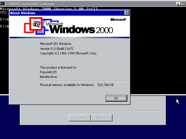 File:Windows 2000 Build 2167 Advanced Server Setup043.png