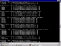 result of executing in Command Prompt dsmgr -file C:\winnt\system32\accounts.inf