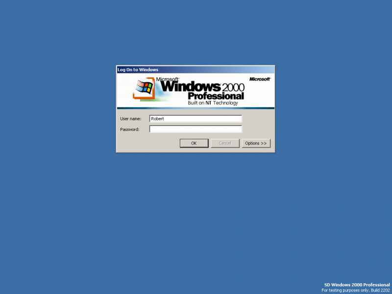 File:Windows 2000 Professional 2202-2019-01-11-17-51-54.png