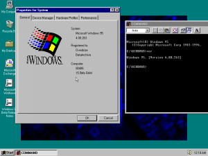 Windows95build263.png