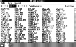 Windows 1.0 DR5 - MS-DOS Executive.png