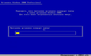 Windows 2000 Build 2195 Pro - Russian Parallels Picture 5.png