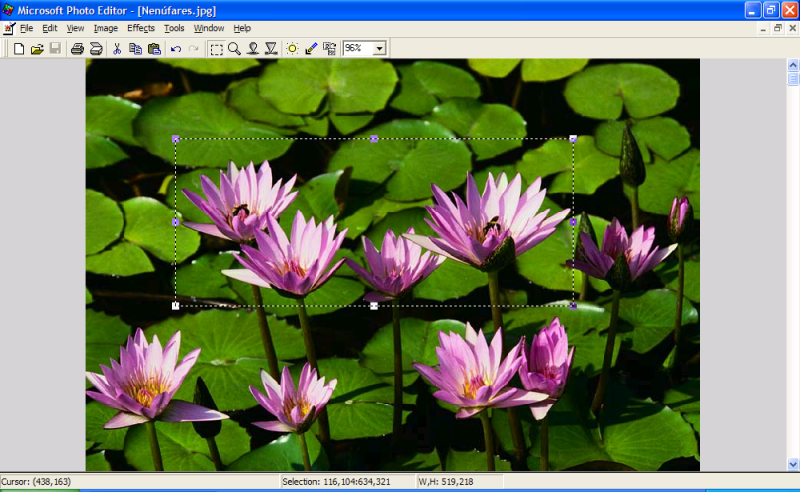 File:Office XP PhotoEditor Main.png