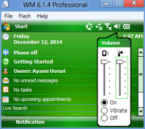 Windows Mobile 6.1.4 Professional setup64.png