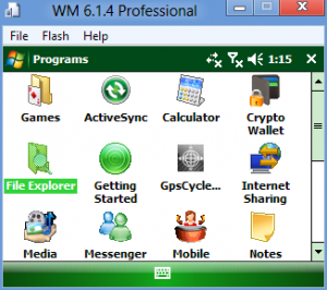 Windows Mobile 6.1.4 Professional setup21.png