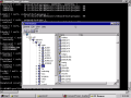 result of executing in Command Prompt dsmgr -file C:\winnt\system32\accounts.inf