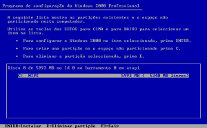 Windows 2000 Build 2195 Pro - Portuguese Parallels Picture 5.png