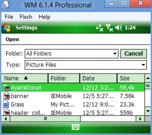 Windows Mobile 6.1.4 Professional setup53.png